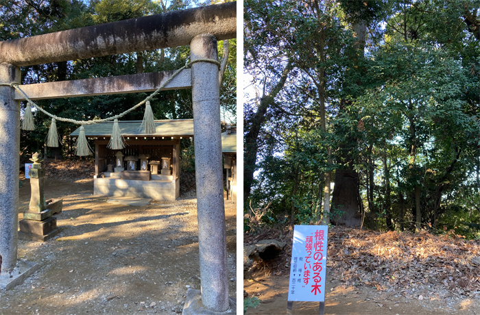 印西市戸神　宗像神社　風景