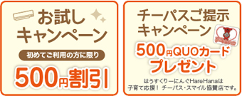 お試しキャンペーン 初めてご利用の方500円割引