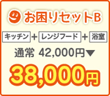 お困りセットB キッチン、レンジフード、浴室のセット